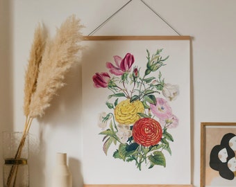 Vintage Rose Illustration Print: 1800s Botanical Art