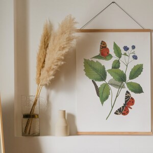 Butterfly print | Butterfly and Flower art print | Vintage butterfly print | Butterfly art print | Dorm decor