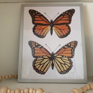 Monarch Butterfly Print | Monarch Print | Butterfly Art Print | Dorm ...