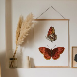 Butterfly wall art | Monarch butterfly print | Monarch print | Butterfly art print | Dorm decor
