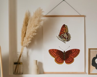 Arte mural de mariposa / Impresión de mariposa monarca / Impresión de monarca / Impresión de arte de mariposa / Decoración del dormitorio