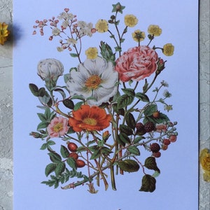 Vintage Rose Bouquet Print | Pink Flower Art | Yellow Flower Art | Dorm ...