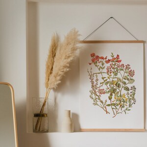 Vintage Rose Print: 1800s Botanical Illustration