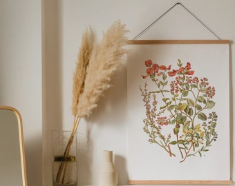 Vintage Rose Print: 1800s Botanical Illustration