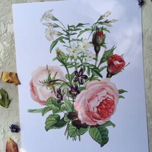 Vintage Rose Bouquet Print Rose Flower Art Pink Floral Illustration ...