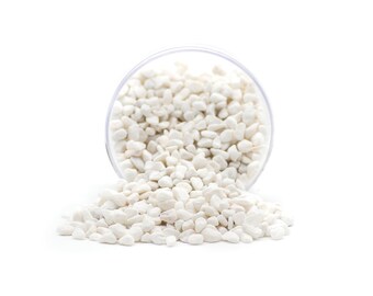 White Bean Pebbles | Cactus & Succulent Top Dressing | Decorative Rocks | Houseplant Top Dressing | Rocks for Plants | 1lb / 2.5lb / 5lb