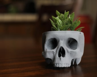 May include: A gray skull-shaped planter with a small green plant growing inside. The planter is made of a smooth, matte material and has a realistic skull design.
