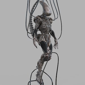 Alien Xeno - ID in Incubator