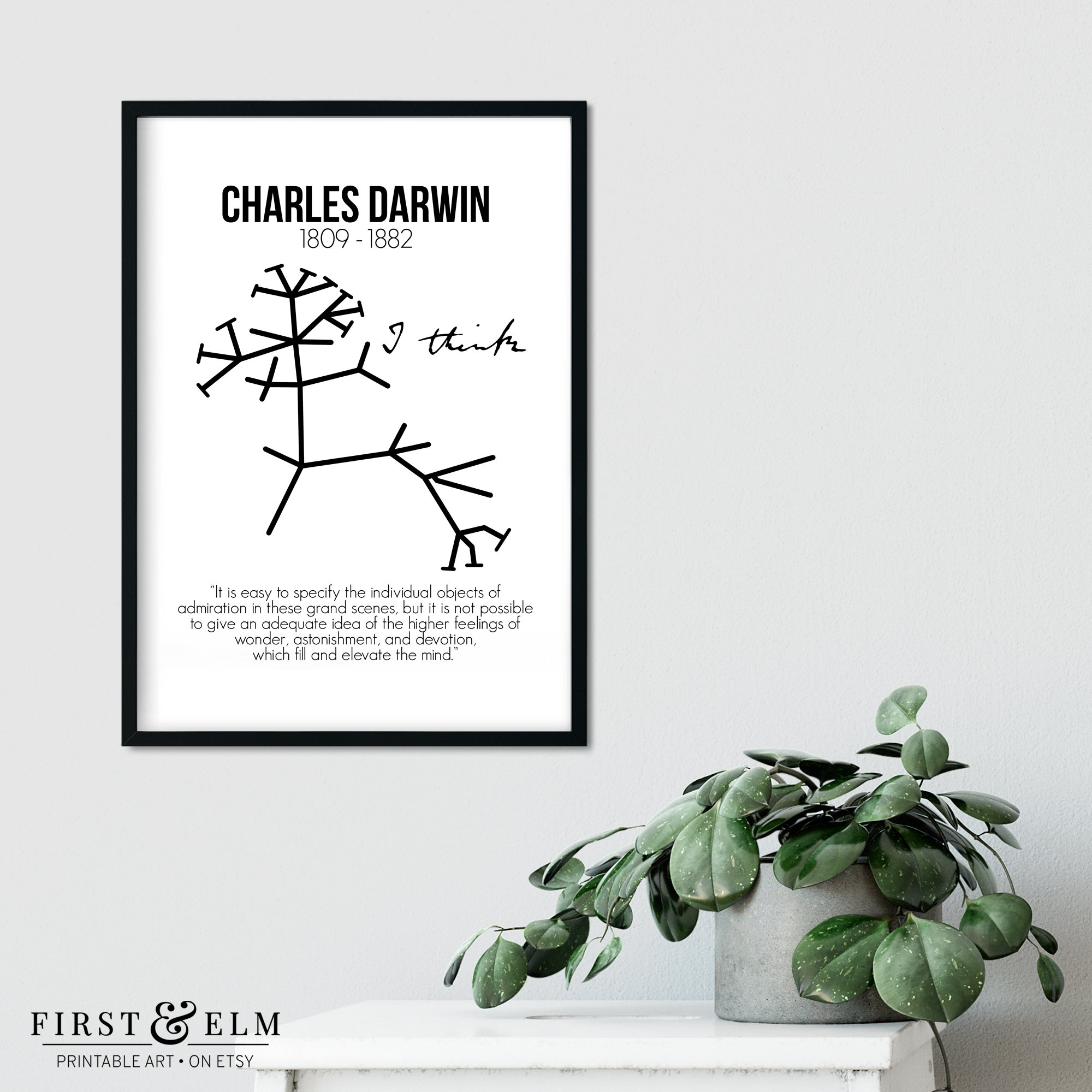 Charles Darwin Print, Tree of Life Drawing, Nerdy Home Décor, Instant ...