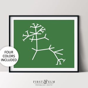 Charles Darwin’s Tree of Life Sketch, Theory of Evolution, Biology Teacher Gift, Instant Download