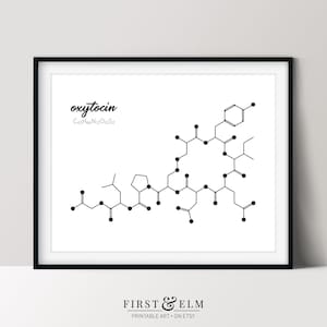 Oxytocin Molecule Print, Science Theme Kids Room Décor, Gifts for Nerds, Chemistry Digital Download