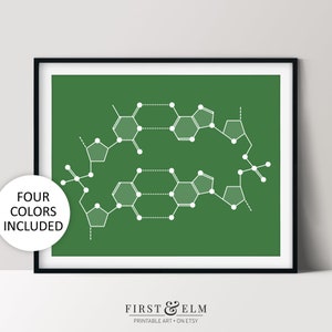 DNA Molecular Structure Print, Science Art Illustration, Nerdy Home Decor, Printable Teacher Gifts