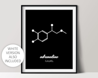 Adrenaline Molecule Print, Science Teacher Gift, Nerdy Home Office Décor, Digital Download