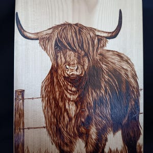 Highland cow - Wood Burnt Picture