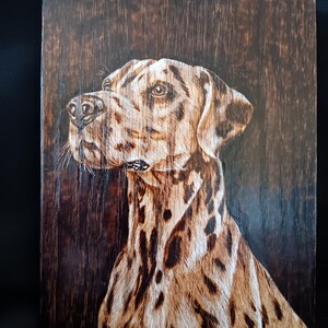 Dalmatian portrait - Wood Burnt Picture