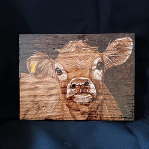 Jersey Calf - Wood Burnt Picture