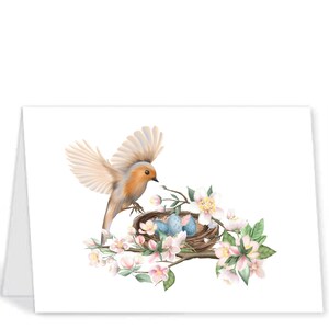 May include: A robin perched on a branch with pink blossoms, looking at a nest of blue eggs.