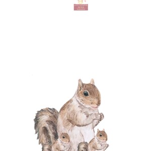Set of 5 Blank Note Cards, Greeting Cards, Squirrel, Squirrels, Instant ...