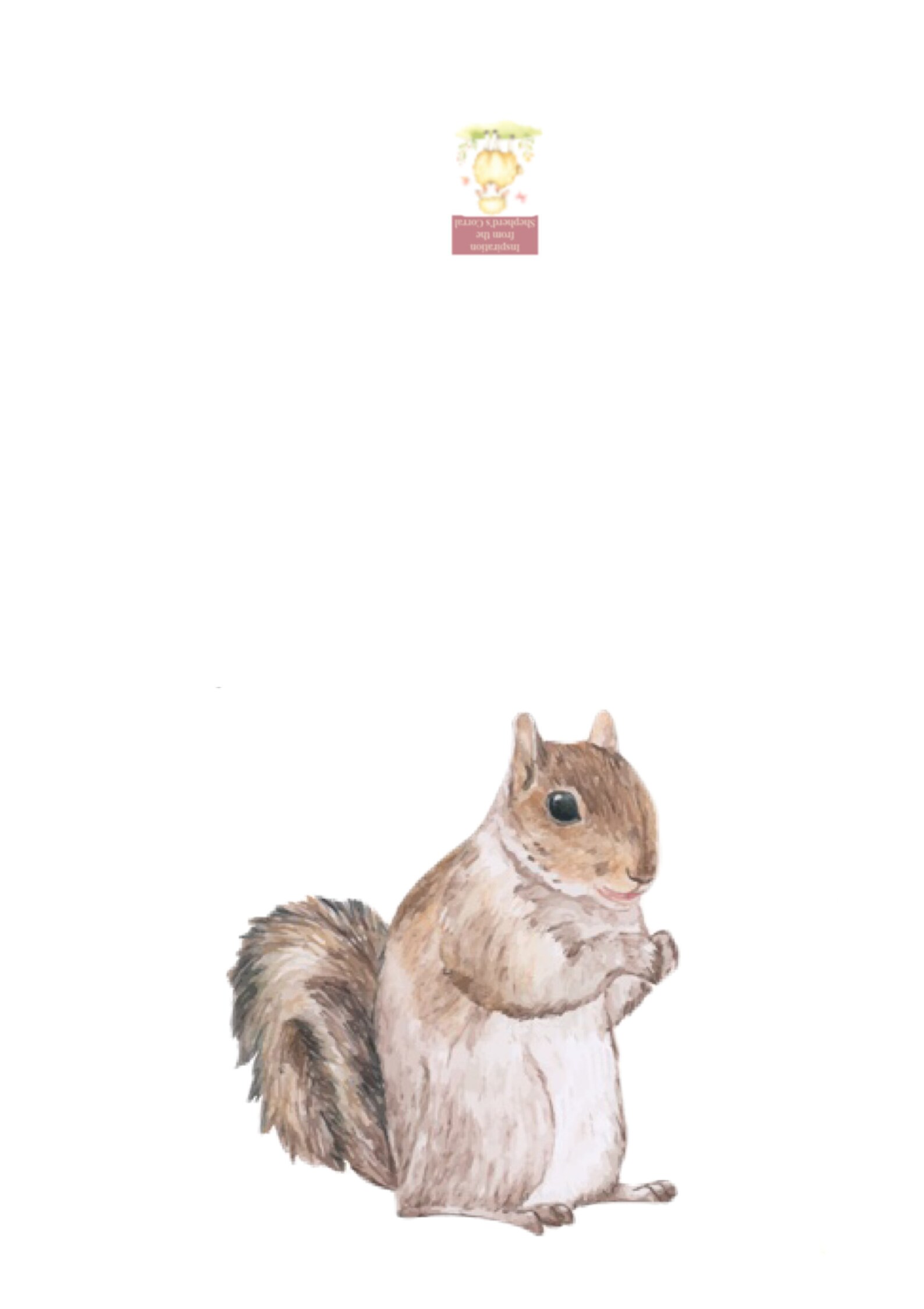 Set of 5 Blank Note Cards, Greeting Cards, Squirrel, Squirrels, Instant ...