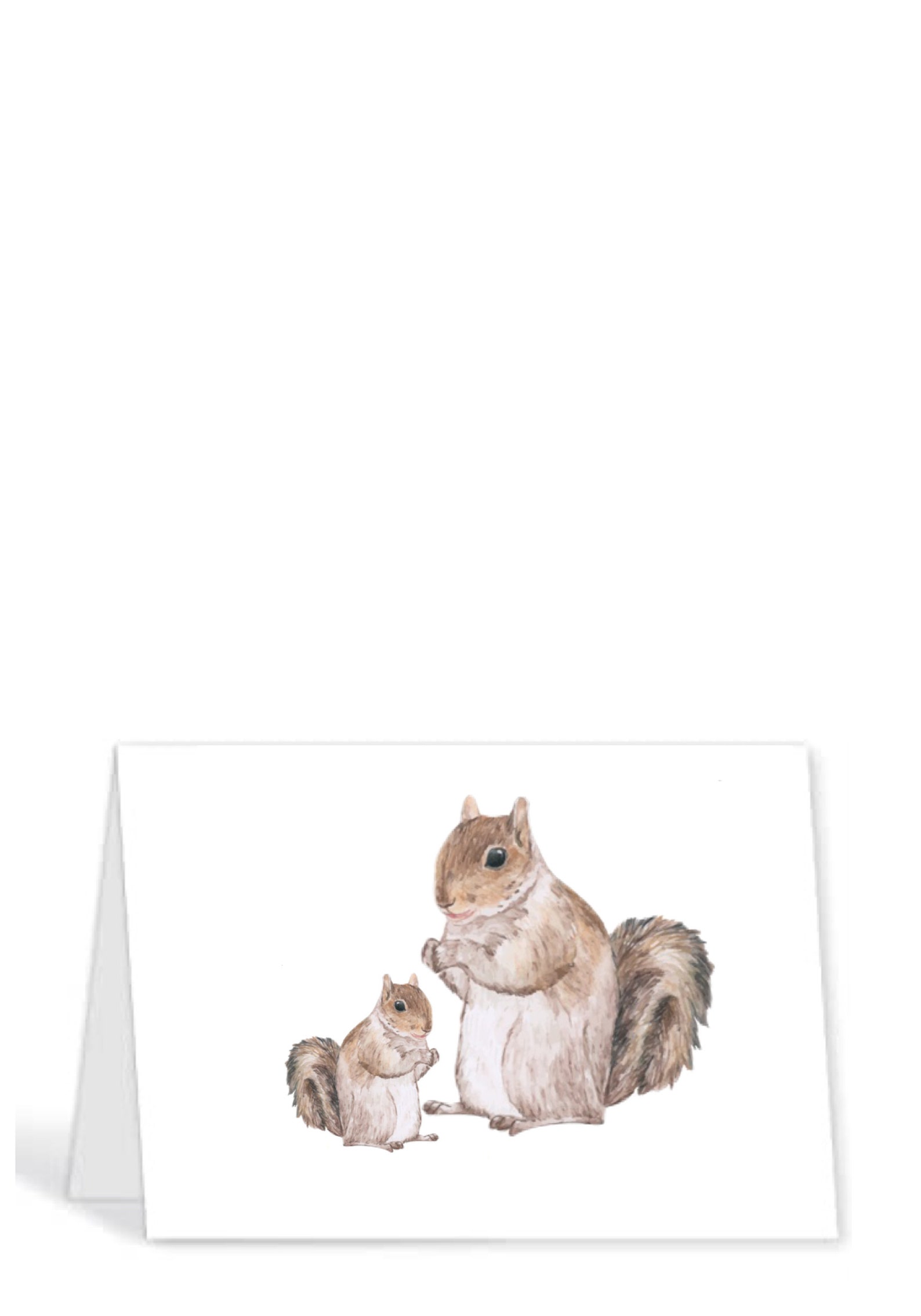 Set of 5 Blank Note Cards, Greeting Cards, Squirrel, Squirrels, Instant ...
