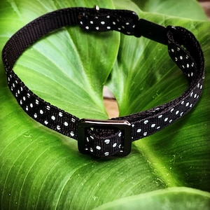 XS Dog Collar & 4&#39; Leash Set - White on Black Polka Dot