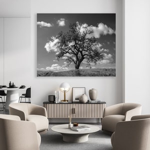 Black and White Oak Tree Print: Northern California Landscape Photography