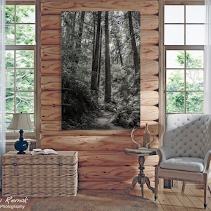 Redwood Tree Photo – Black and White Wall Art – B&W Redwood National Park Print – California Nature Photography – Office or Cabin Decor