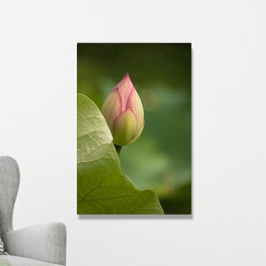 Lotus Print, Zen Wall Art, Beautiful Pink Lotus Photo, Flower Photography, Metal Aluminum, Canvas Wrap, Fine Art Print