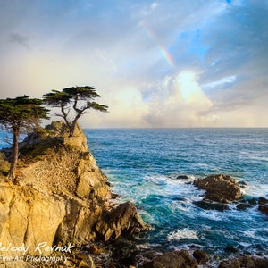 Lone Cypress Rainbow Photo Print: Carmel-by-the-Sea Coastal Wall Art
