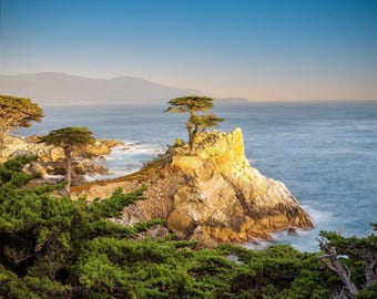 Lone Cypress Print, Golden Carmel Coastal Photography on Metal or Canvas