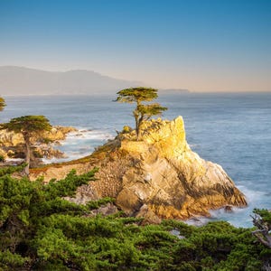 Lone Cypress Tree Print – Oversized Carmel Beach Wall Art, Iconic California Coast Photo, Carmel-by-the-Sea Photography, Aluminum or Canvas