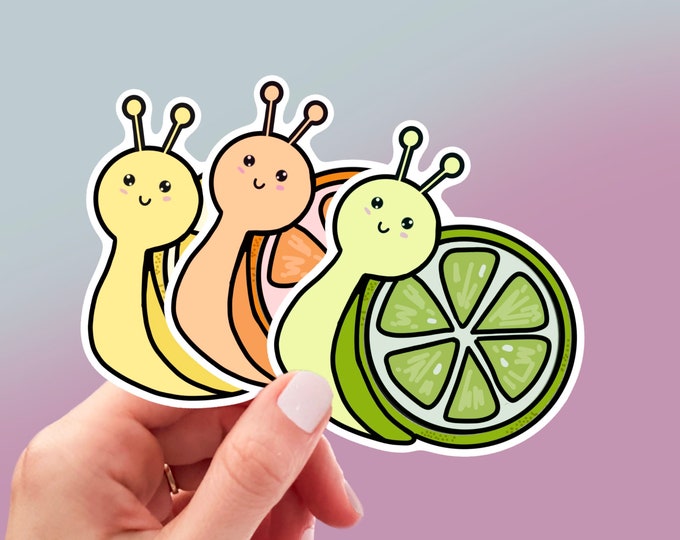 Fruit Snail – Slow & Juicy