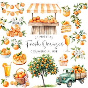 Orange Clipart - Watercolor - Summer Png - Orange tree - Orange Juice - Sublimination - Farmer Market Stand - Fruit Clipart - Commercial Use