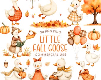 Fall Goose Clipart - Watercolor - Cute Goose - Silly Goose - Autumn Goose - Clipart Bundle - Kid's Clipart - Goose Png - Commercial Use