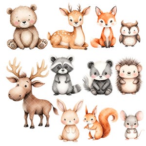 May include: A set of 10 watercolor illustrations of woodland animals, including a bear, deer, fox, owl, raccoon, skunk, hedgehog, rabbit, squirrel, and mouse. The animals are all depicted in a cute and whimsical style.