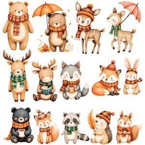 Fall Animal Clipart - Watercolor - Woodland Animals Png - Autumn - Cute ...