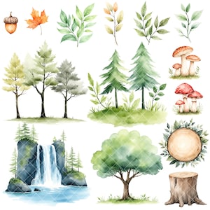 May include: Watercolor illustrations of forest elements, including trees, mushrooms, a waterfall, a tree stump, and a leafy wreath. The illustrations are painted in shades of green, brown, red, and white.