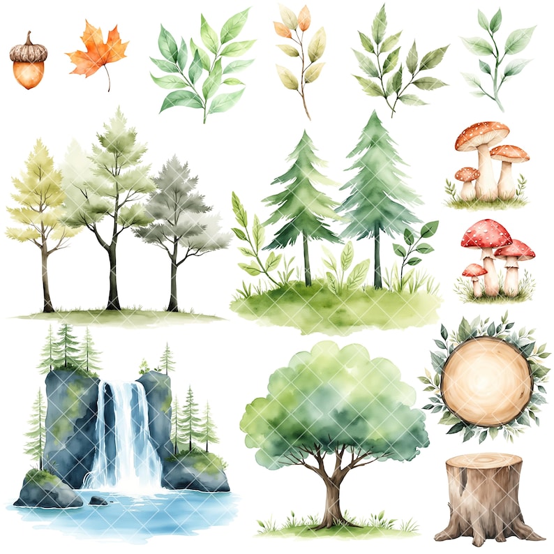 May include: Watercolor illustrations of forest elements, including trees, mushrooms, a waterfall, a tree stump, and a leafy wreath. The illustrations are painted in shades of green, brown, red, and white.