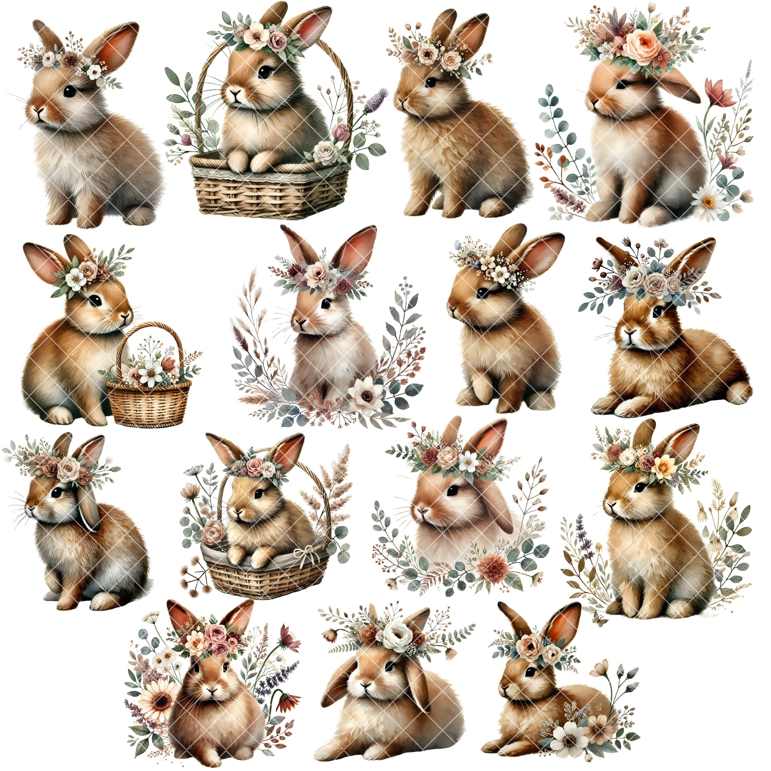 Cute Neutral Rabbit Watercolor Bunny Clipart - Boho Neutral - Rabbit Png - Floral Bunny ...