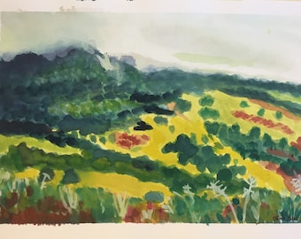 Original Landscape Watercolour Painting of Springbrook National Park in Queensland Australia