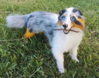 australian shepherd stuffed animal red merle