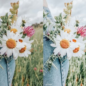 Puede incluir: Un ramo de margaritas blancas y flores de tr&eacute;bol rosa metido en el bolsillo de unos vaqueros azules.