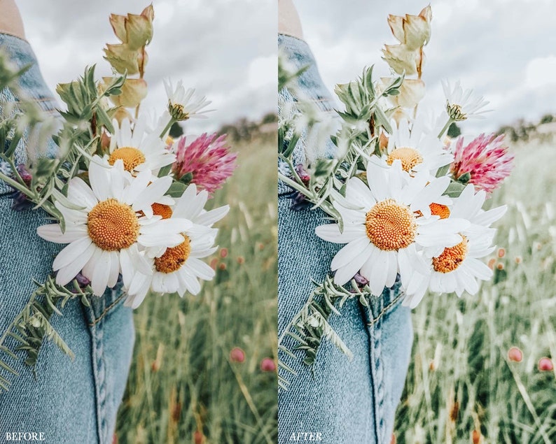 Puede incluir: Un ramo de margaritas blancas y flores de tr&eacute;bol rosa metido en el bolsillo de unos vaqueros azules.