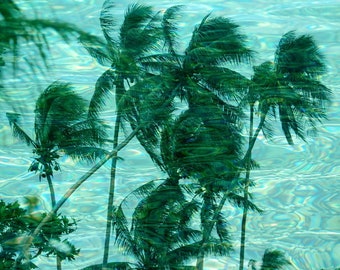 WATER Palm original photo print Aqua turquoise Palms on reflective water Instant downloadable wall art tropical coastal digital print