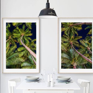 Palm Cove at night.  2 x downloadable instant prints, Palm Trees, coconut Palms, Plant lovers, Tropical beach, Coastal, Digital downloads