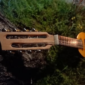 Handmade mandolin in the style of a lute
