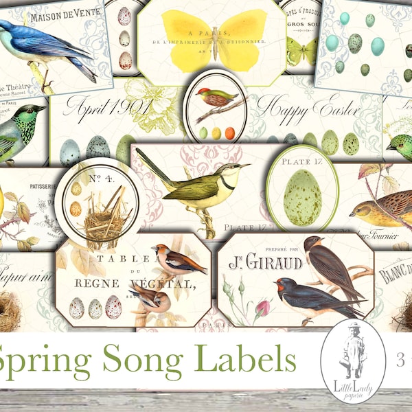 Digital labels junk journal digital easter spring birds labels printable book label ephemera scrapbooking label crafting collage sheet