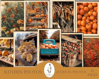 May include: A collection of 12 autumn-themed journal photos. The images feature pumpkins, fall foliage, a sleeping orange cat, and a vintage truck filled with pumpkins. The text on the image reads "Autumn Photos" and "Journal Photos".