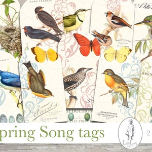 Vögel shabby chic digitale Junk Journal Geschenkanhänger digitale Frühling Vogel Etiketten druckbares Buch Geschenkanhänger Ephemera Scrapbooking Basteln Collage