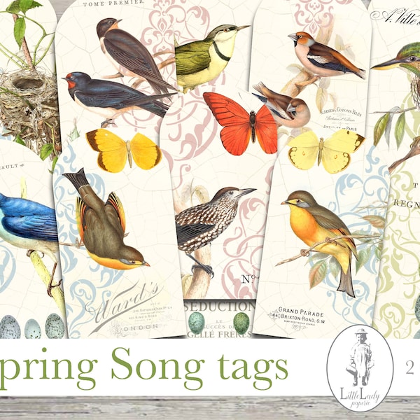 birds shabby chic digital junk journal  gift tag digital spring bird labels printable book gift tag ephemera scrapbooking crafting collage